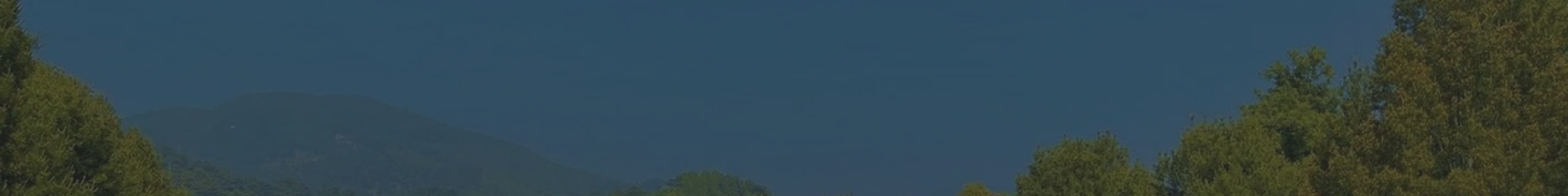 望仙安息园顶部背景图